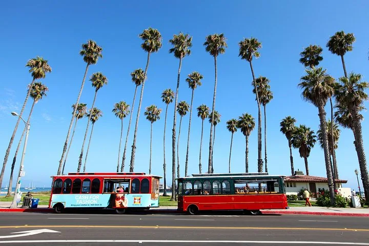 Two colorful trolleys parked on a street lined with tall palm trees.