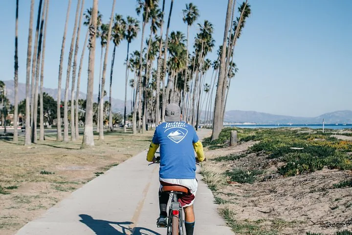 A person riding a bicycle down a path lined with palm trees.